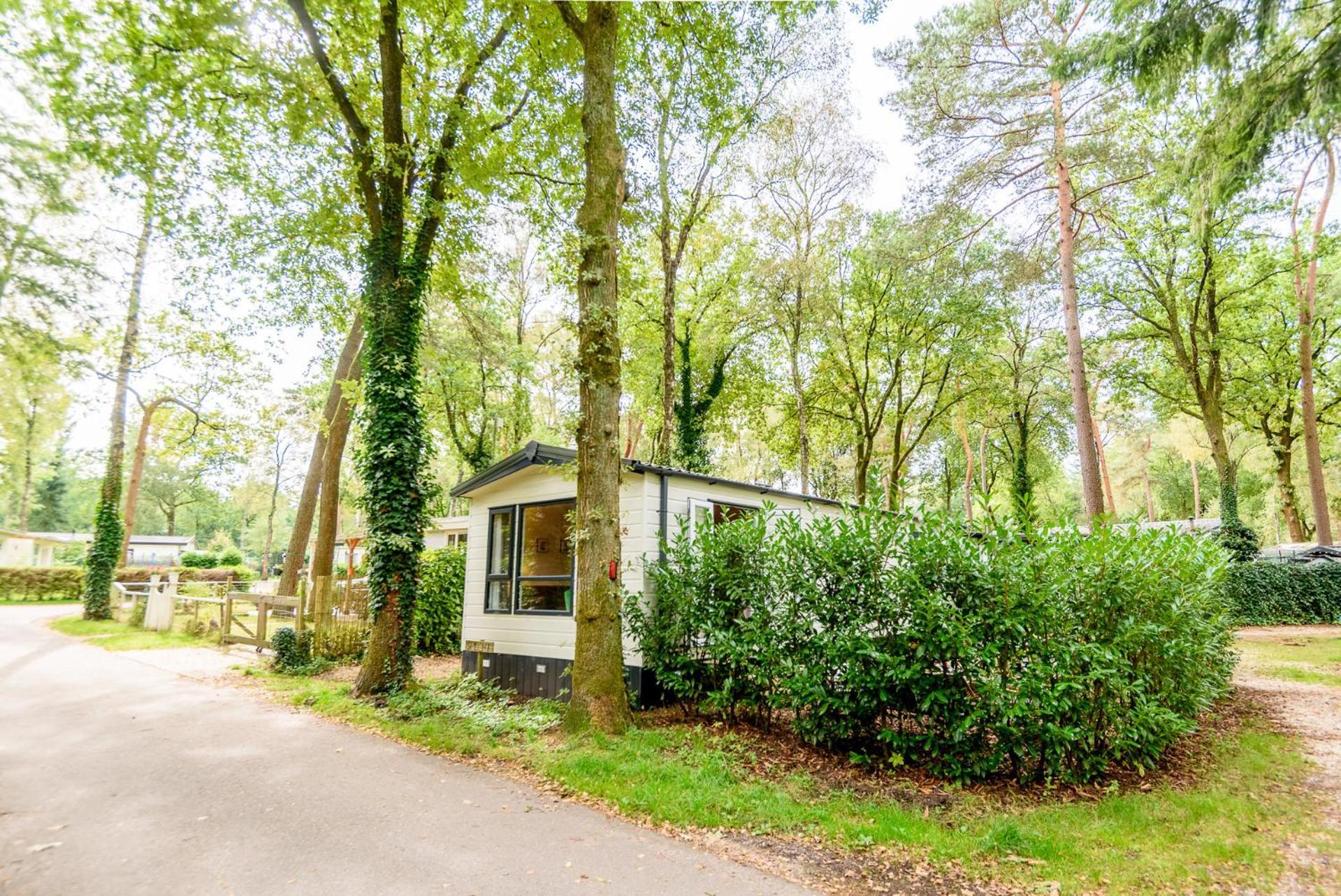 Veluwe Chalet Aan Het Bos - Kids - Pool - Dog هونديرلو المظهر الخارجي الصورة